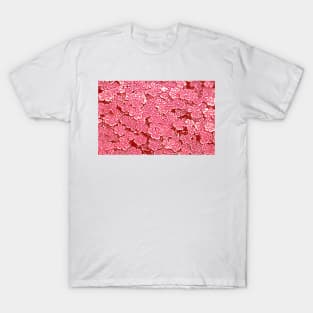 Clover Red T-Shirt